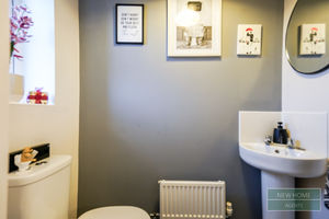 Photo 10- click for photo gallery